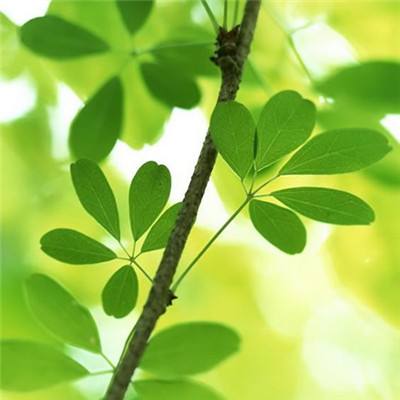 管家婆期期四肖四码中特管家