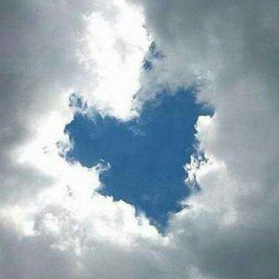 贝博app代言艾弗森下载手机版